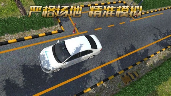 Driving School Simulator(Уģ)v1.2 ׿