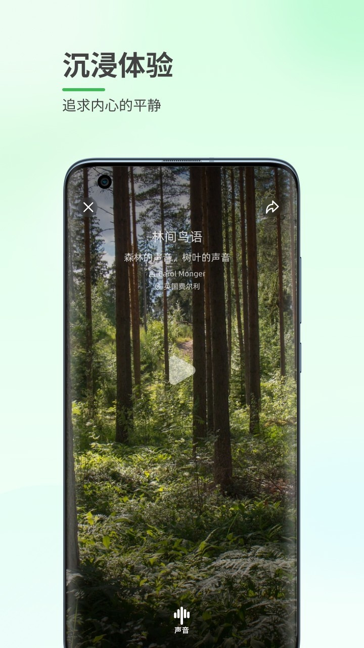 森林白噪音appv1.0.1 最新版