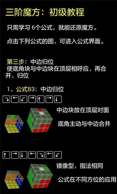 RapiCube(快魔方手机版)v1.0 安卓版