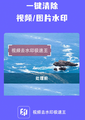 视频去水印极速王app