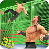 Tag Team Wrestling World 2019(ˤӸֻ)v1.1.3 ׿