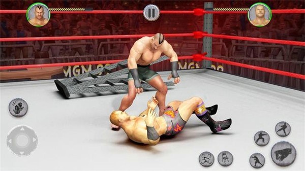 Tag Team Wrestling World 2019(ˤӸֻ)v1.1.3 ׿