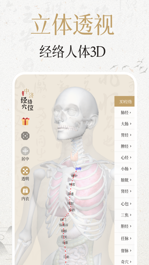 中济经络穴位appv2.12.0 最新版