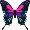 Ǻ׿ֲv0.3.1.0 °