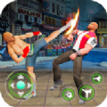 Street Fighter Hero(斗士英雄竞技)v1.7 最新版