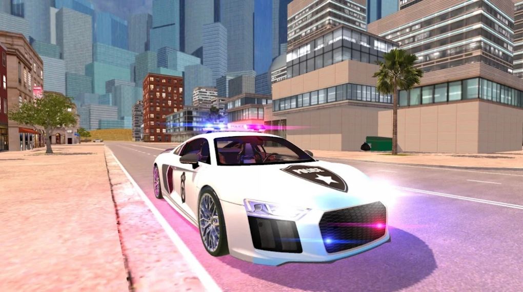 R8 Police Car Driving(R8ģֻ)v1 ׿