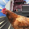 ʼҼս3DChicken Royalev2.6 ׿