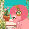 ڻ԰(Window Garden)