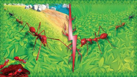 火蚁昆虫模拟Ant Insect World Simv0.2 安卓版