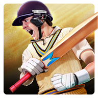 ھ(Cricket World Champions)v1.0.133 ׿