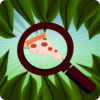 һͼҶϷ(Find-O)v0.0.4 ׿