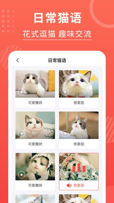 喵星人翻译器appv2.9.5 安卓版