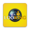 LOOKING CAMv1.0.32.210528 °