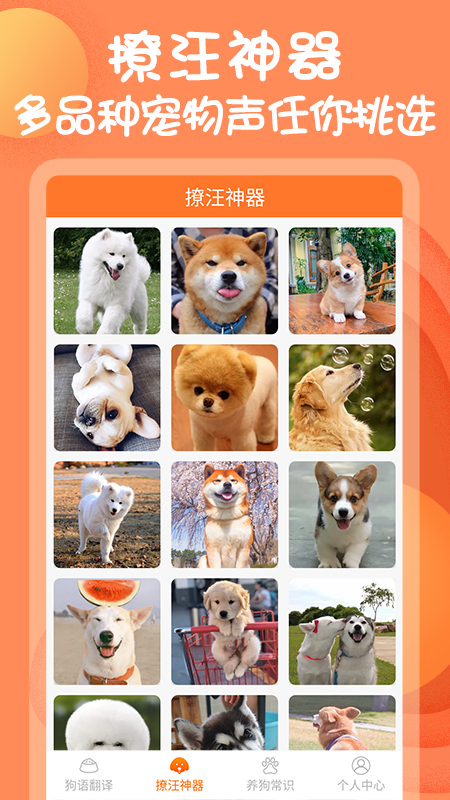 狗与翻译器appv1.0.8 最新版