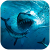 ģ(Megalodon Simulator)v1.0.6 ׿