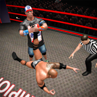 ˤսޱ3DWrestling Fight Revolution 3Dv1.3 ׿