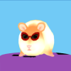 С͵Hamster Thiefv1.2 ׿