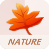 ѧϰϵͳappv3.2.1 °