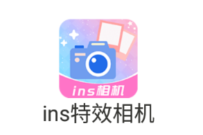 insЧ