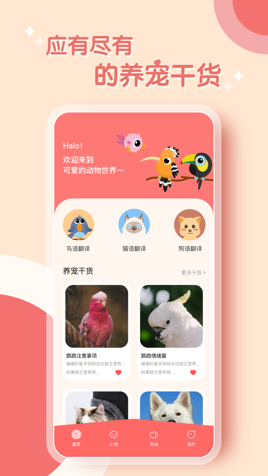 鸟语翻译器appv1.0.0 官方版