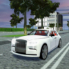 ͣģLuxury Car Parking Simv1.5 ׿