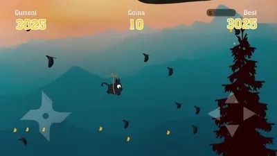 èFlying Cat Ninjav2.0 İ