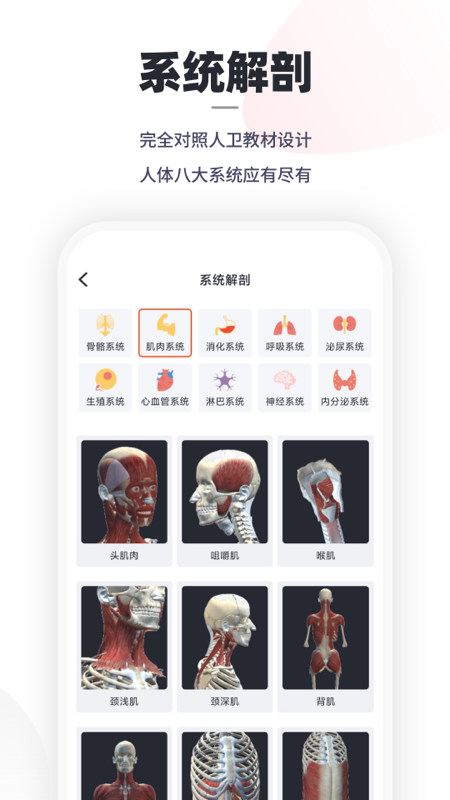 口袋人体解剖appv3.0.9 安卓版