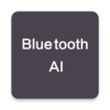 BluetoothAI appv2.1 °