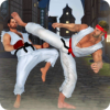 ֵ񶷴ʦ(Karate Fighting 2021)v1.2.6 ׿