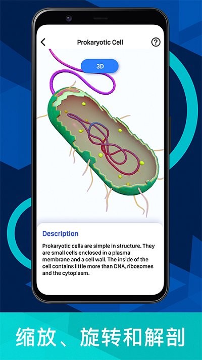 病毒与细菌 生物放大镜游戏：研究世界上的微生物的结构v1.0.0 最新版