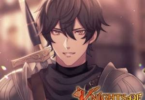 ӢʿʷKnights of Romance and Valorv3.0.22 ׿