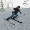 ѩܿð(Alpine Ski III)v2.8.8 ׿