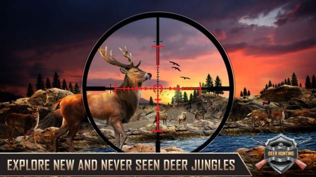 ¹3D(Deer Hunter 3D: Shooting Games)v1.2 °