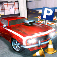 ݶԾͣģ(Real Car Parking 3D Game)v1.8 ׿