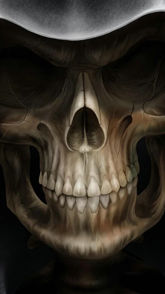 ͷǶֽ̬(Skulls Live Wallpaper)v3.0 ׿