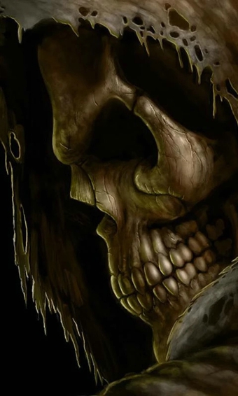 ͷǶֽ̬(Skulls Live Wallpaper)v3.0 ׿