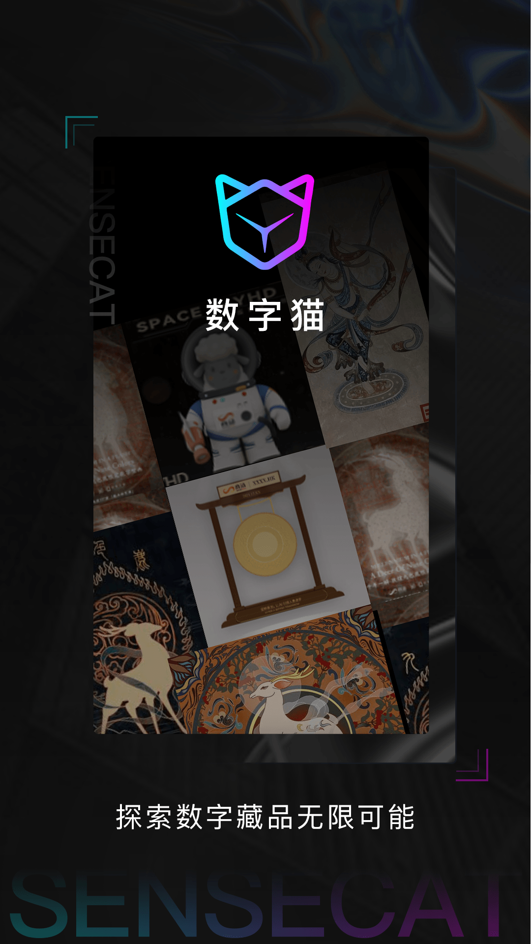 数字猫appv1.0.1 最新版
