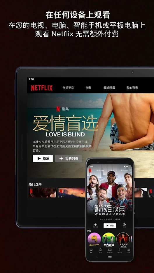 Netflix奈飞手机app下载v8.104.0 build 5 50619 官方版