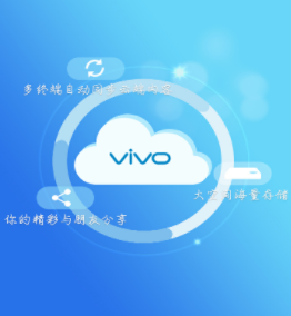 vivoֻֻ°汾