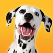 ǹģDalmatian Dog Simulatorv1.1.0 ׿