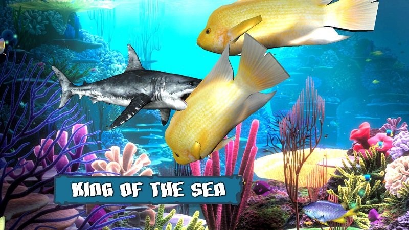 ֮(King of the Fish Tank)v2.0.0 ׿