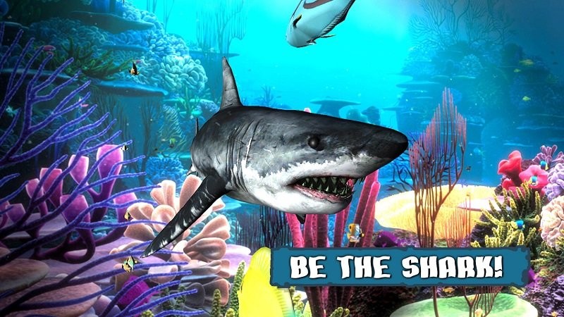 ֮(King of the Fish Tank)v2.0.0 ׿