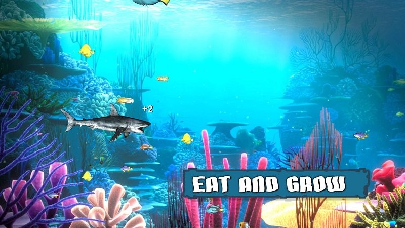 ֮(King of the Fish Tank)v2.0.0 ׿