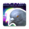 Hatoversev1.1.1 İ