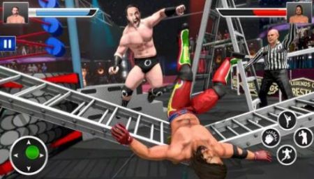 ˤϷȭ(Wrestling Games Ring Fighting)v1.5 ׿