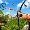 Է(Bird Hunting Mania)v1.0.4 ׿