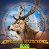 Ұѻ¹(Wild Sniper Hunter: Animal Shooting Game)v1.0.7 ׿