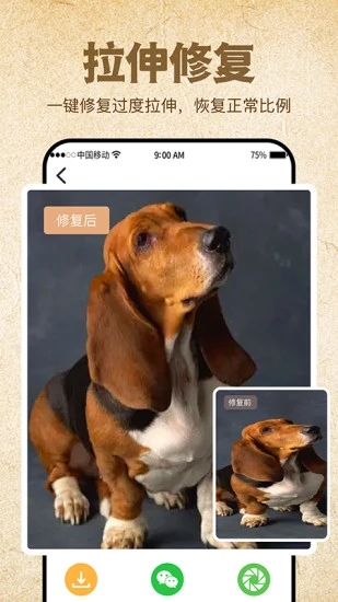 照片修复大全appv1.0 安卓版