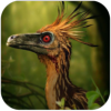 ˳ģ(Troodon Simulator)v1.0.9 ׿
