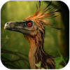 ˳ģ(Troodon Simulator)v1.0.9 °